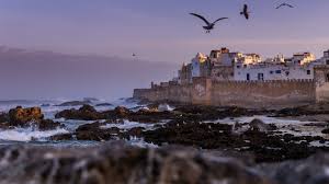  Essaouira, City of Art and Artists