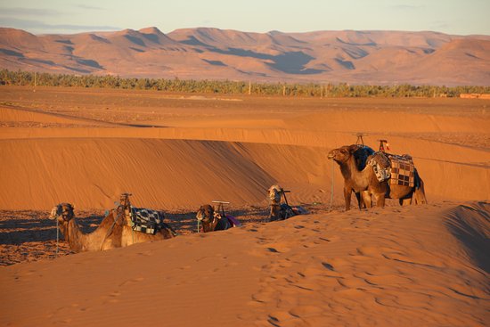 Ouarzazate Zagoura circuit for 2 days